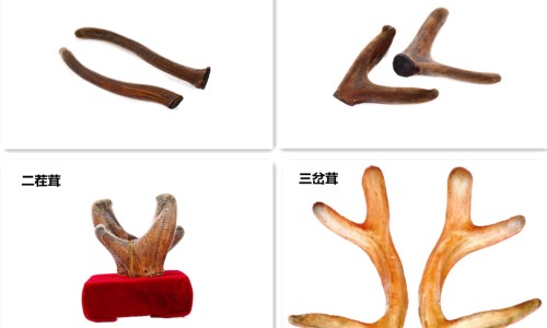 皮皮乐婴儿软膏图片-权威皮皮乐滴剂平台,分享专业婴儿皮皮乐32元说是假的怎么处理知识_皮皮乐纸尿片好不好网