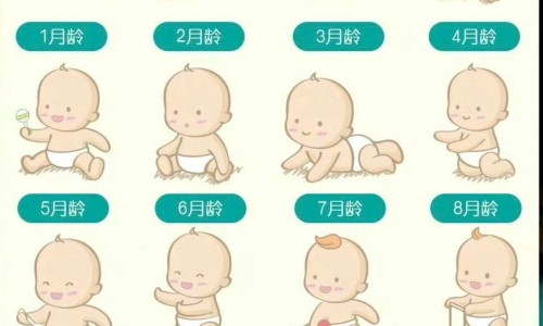 皮皮乐婴儿软膏图片-权威皮皮乐滴剂平台,分享专业婴儿皮皮乐32元说是假的怎么处理知识_皮皮乐纸尿片好不好网