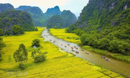 权威皮皮乐滴剂平台,分享专业婴儿皮皮乐32元说是假的怎么处理知识_皮皮乐纸尿片好不好网